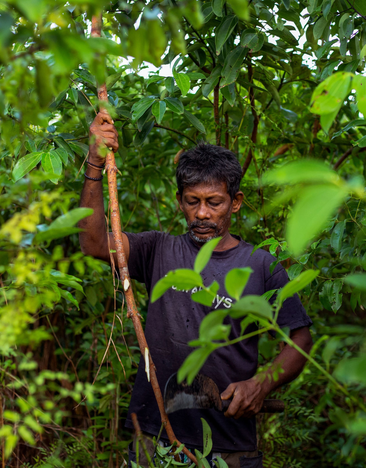 Give 10% on the Menu on Your Birthday